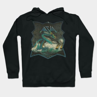 Asia Water Dragon 1982 Hoodie